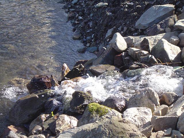 js640_DSC01519.jpg